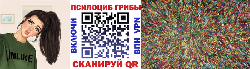 купить закладку  Печоры  Галлюциногенные грибы Psilocybe 